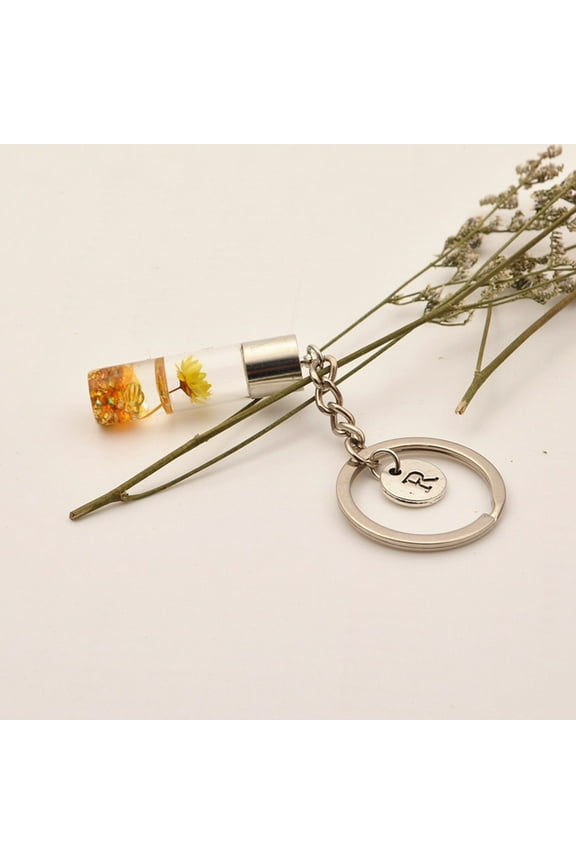 4Pcs Dried Flower Keychain Vial Iron Decorative Key Rings Women present