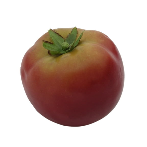 KALLORY 6Pcs Artificial Vegetables Tomato Decor Multi Colored Round For Festive Environment