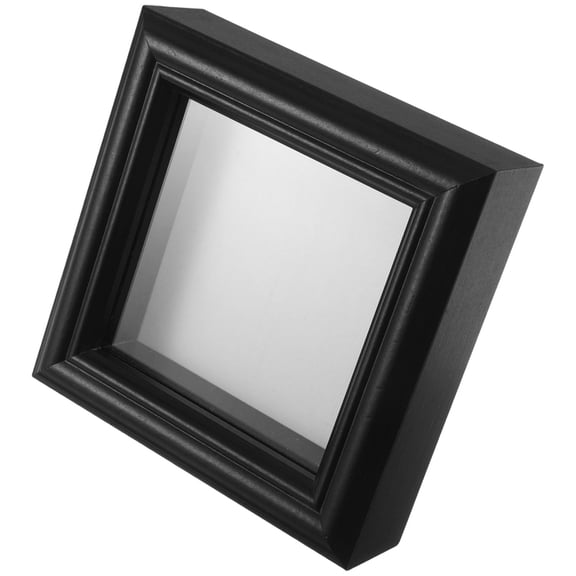 KALLORY Black Display Case for Insect and Butterfly Specimens, Elegant Collector Showcase for Art, Nature, and Educational Display