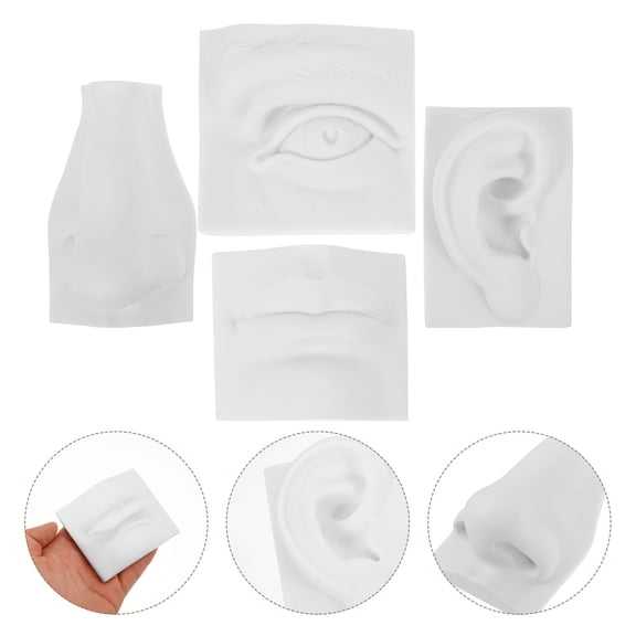 KALLORY Gypsum Sketch Model, White, Decorative and Beautiful, Perfect for Home