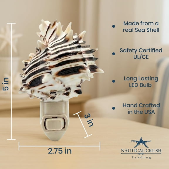 KALOMB-Seashell Night Light Black Murex Nautical NightLight Shell Light for Bathroom Sea Shell Lamp Seashell Lamp Plug Into Wall