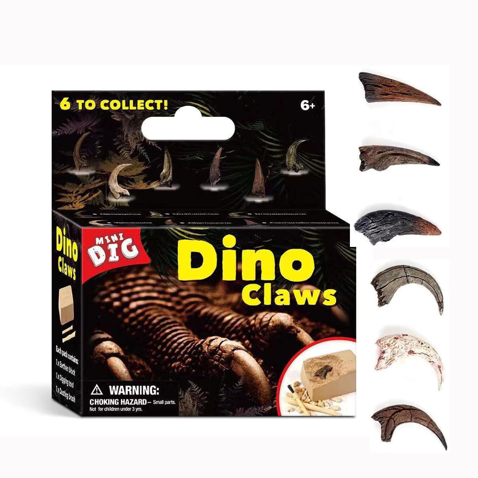 KAMINRUN Dinosaur Claw Fossils EC36 Stegosaurus & T Rex Kits Dinosaur Clawq Fossils