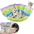 thumbnail image 1 of KANCOKIT Cat Tunnel Bed with Mat, Collapsible 3 Way Cat Play Tube Condo Toy with Peek Hole Fun Ball Indoor Outdoor Soft Hideout Exercising Playground for Pet Dog Kittens Kitty Rabbits, 1 of 9