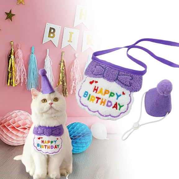 KANG Birthday Party Hat Bibs Scarf And Cat