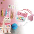 thumbnail image 1 of KANG Birthday Party Hat Bibs Scarf And Cat, 1 of 6