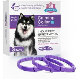 Sentry Calming Collar for Anxiety Stress Relief Dogs Suitable for Puppies and Small Dogs 0.75 oz 3 Count Walmart