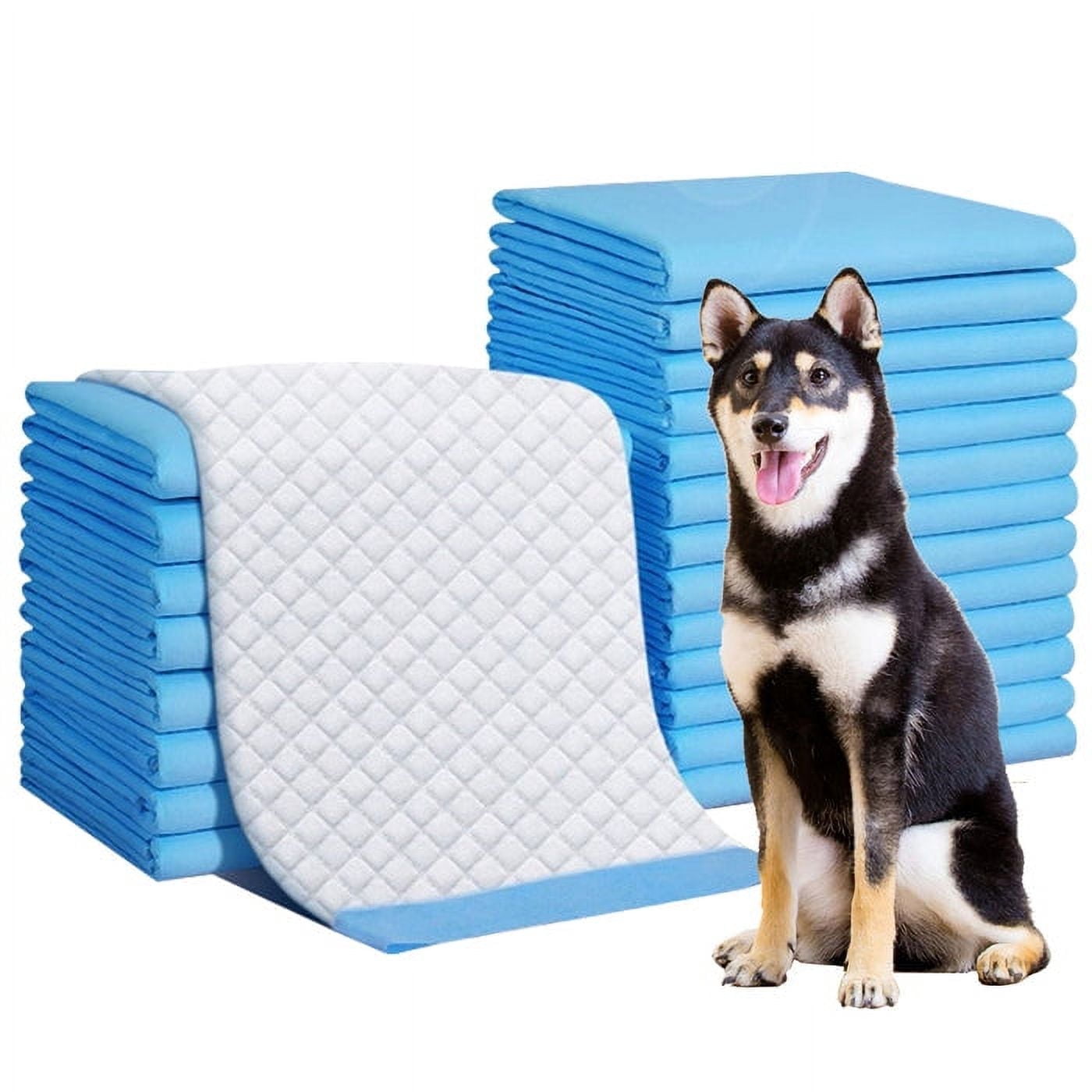 KAPAS 150 Count Medium ( M 30" X 36") Super Absorbent Dog and Puppy Training Pads, Pet Diaper Pee Pads