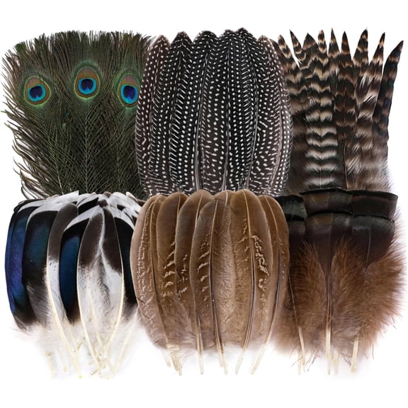 KAQ 48pcs Natural Feathers Bulk - 6 Styles Assorted Peacock, Pheasant, Turkey Feathers for Craft DIY Jewelry Hat Wedding Home Party Decoration