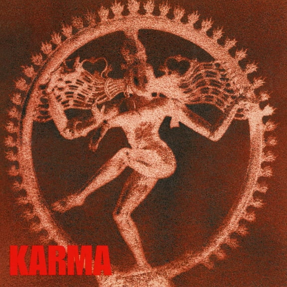 Karma (Audiobook)