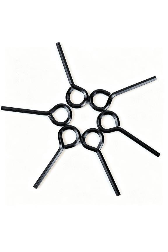 6 Pack Allen Wrench Hex Key for Push Bar Door Panic Exit Devices 5/32 Inch Standard Hex Dogging Key with Full Loop Hex Key Keychain Set Solid Metal Hex Keys Wrench (Black)