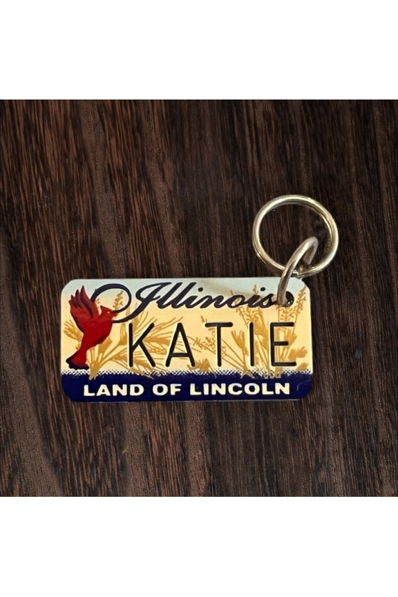KATIE Name Keychain License Plate Illinois Land of Lincoln Great Gift 2 New