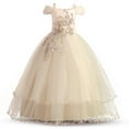 thumbnail image 1 of KAWELL Girl's Ball Dress Lace Embroidered Tulle Flower Princess Party Beauty Dress, 1 of 4