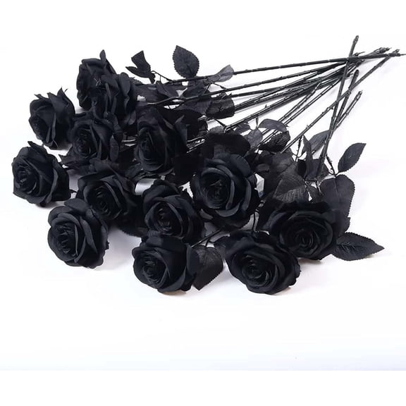 KAYA 12-Pack Artificial Black Roses, Long-Stem Silk Fake Roses for Home, Wedding and Party Decorations (Black for Halloween)