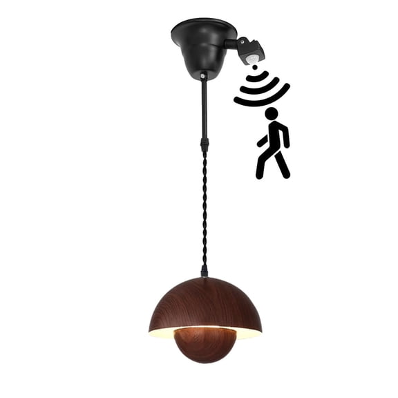 KAYYELAMP 1.9ft Adjustable Cord E26 Connection 4 to 5 inches Recessed Light Replacement Motion-Activated Hanging Light Wood-grain Metal Retro Pendant for Porch Entrance(No Bulb)