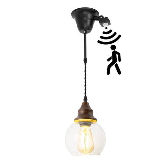 KAYYELAMP 1.9ft Adjustable Cord E26 Connection Replacement Motion-Activated Hanging Light Walnut Base Clear Glass Ball Shade Minimalist Pendant for Farmhouse Home Store(No Bulb)