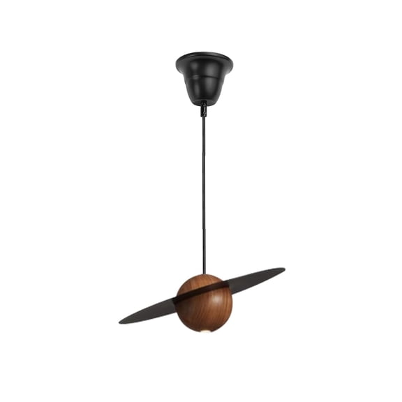 KAYYELAMP 1 Pcs Ceiling Light Conversion Pendant E26 Base Connections Metal Walnut Neutral Lighting Vintage Style Adjusted 3.2ft Wire Conversion Kit for E26 Spot Lamp