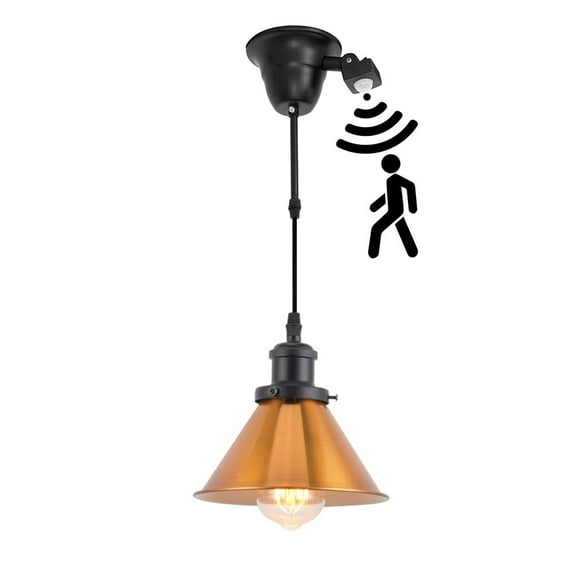 KAYYELAMP 1 Pcs Motion Sensor Ceiling Light Conversion Pendant E26 Base Connections Vintage Gold Shade Black Base 3.2ft Wire Conversion Kit for E26 Spot Lamp