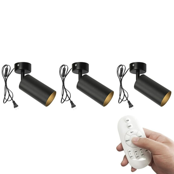 KAYYELAMP 3-Pack Remote Dimmable 5W GU10 Spot Light Adjustable Angle 9.8Ft Plug in Button Cord Ceiling Light Wall Light Black Metal Vintage Design for Loft Entrance Wall Painting