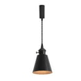 thumbnail image 1 of KAYYELAMP Adjusted Cable J-Type Track Lamp E26 Switch Base Metal Shade Simple Black Pendant Lighting for Kitchen Dining Room(No Bulb, Track), 1 of 7
