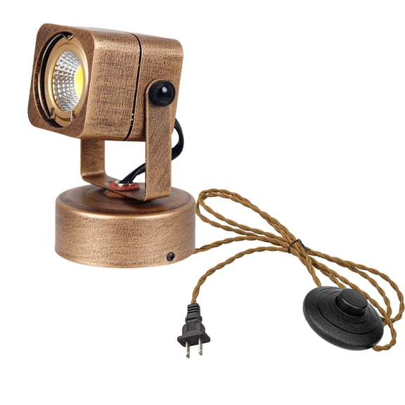KAYYELAMP Antique Brass Adjustable Flood Light 3W 6000K Daylight Spot Lighting 9.8ft Plug in Cable with Foot Pedal for Living Room Picture Focusing Lamp 1Pcs Vintage