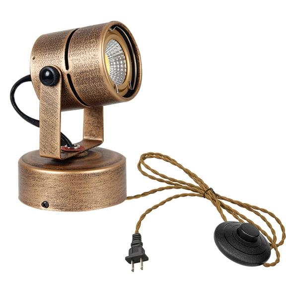 KAYYELAMP Antique Brass Adjustable Flood Light 3W 6000K Daylight Spot Lighting 9.8ft Plug in Cable with Foot Pedal for Living Room Picture Focusing Lamp 1Pcs