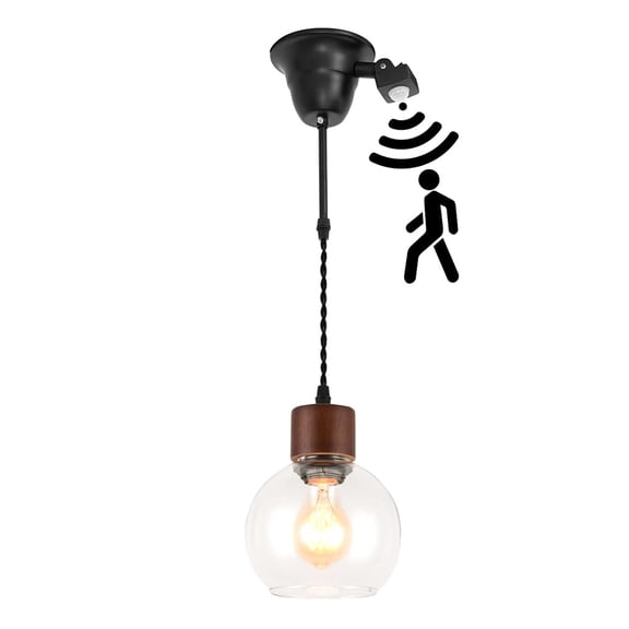 KAYYELAMP Clear Glass Ball Shade Walnut Base J-Type Motion Sensor Track Lamp 1.9Ft Adjusted Cord Pendant Light for Home Kitchen Farmhouse 1Pcs(No Bulb, Track)