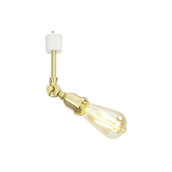 KAYYELAMP E26 Brass Modern Track Mount Ceiling Light J-Type Adjustable Angle Classic Track Head Lighting for Loft Wall Painting Hallway(No Bulb, Track)