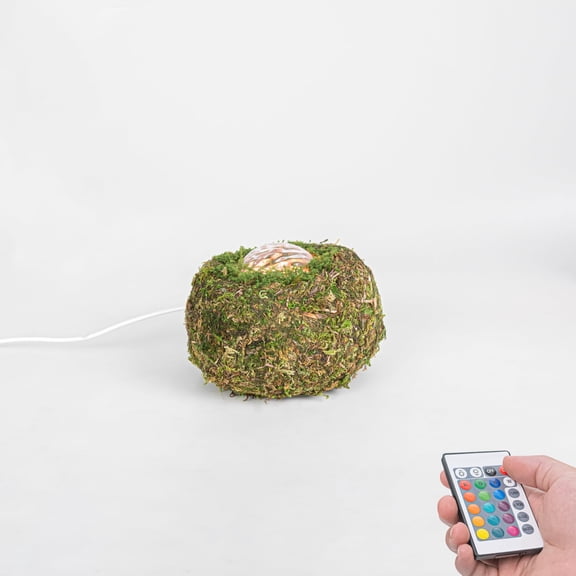 KAYYELAMP Forever Moss Handmade Green Decorative Lamp USB Wiring Remote RGB Dynamic Lights Vintage Design for Bedroom Store Holiday Decoration Gift for Christmas Birthday