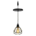 thumbnail image 1 of KAYYELAMP Hanging Light E26 Connection Black Metal Hollow Shade Retro Pendant Lamp Replacement Downlight for Kitchen Island Dining Table Loft(No Bulb), 1 of 7