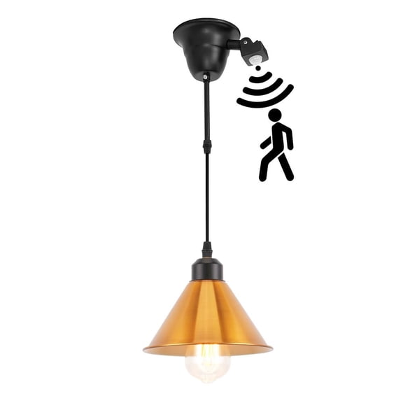 KAYYELAMP Industrial Style Motion-Activated Track Light J-Type 1.9ft Cord Gold Metal Black Base E26 Vintage Pendant For Office Kitchen Restaurant