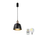thumbnail image 1 of KAYYELAMP Remote LED Bulb Rechargeable Battery Adjusted Cord Hanging Light Dimming Timing Red Copper Base Black Shade Vintage Design for Kitchen Farmhouse, 1 of 7