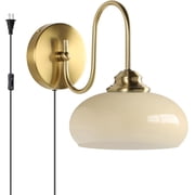 KCO Glass Globe Plug in Wall Sconces Brass Gold Kitchen Wall Light for Living Room Bedroom