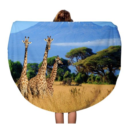 KDAGR 60 inch Round Beach Towel Blanket Three Giraffe on Kilimanjaro Mount in National Park Travel Circle Circular Towels Mat Tapestry Beach Throw