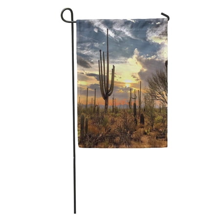 KDAGR Blue Cactus Desert Landscape Red Arid Arizona Cacti Clouds Dry Garden Flag Decorative Flag House Banner 12x18 inch