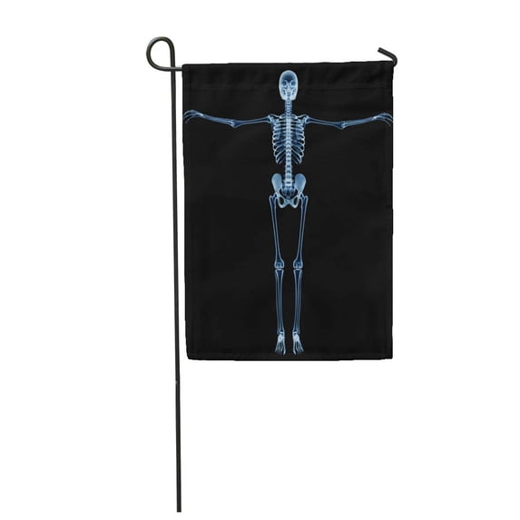 KDAGR Body X Ray Skeleton R Ntgen on Black Da Garden Flag Decorative Flag House Banner 12x18 inch