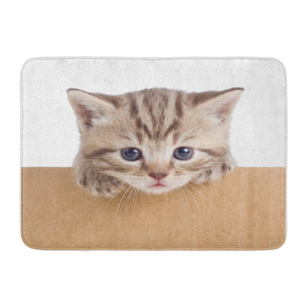 KDAGR Brown Cat Little Kitten in Cardboard Box Tabby Cutout Doormat