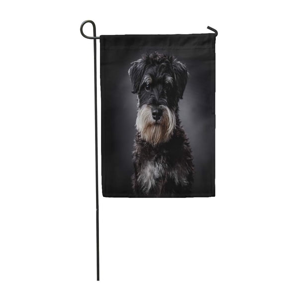 KDAGR Brown Dog Schnauzer Portrait on Dark Grey Pet Adorable Garden Flag Decorative Flag House Banner 12x18 inch