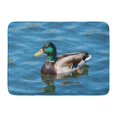thumbnail image 1 of KDAGR Brown Duck Colorful Mallard in Calm Lake Green Air Avian Beak Doormat Floor Rug Bath Mat 23.6x15.7 inch, 1 of 1