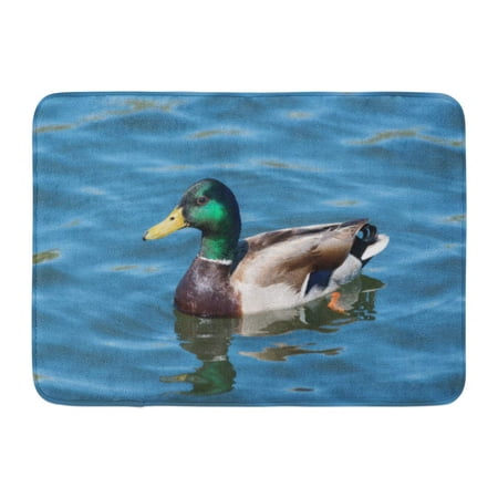 KDAGR Brown Duck Colorful Mallard in Calm Lake Green Air Avian Beak Doormat Floor Rug Bath Mat 23.6x15.7 inch