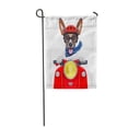 thumbnail image 1 of KDAGR Crazy Silly Motorbike Dog Helmet and Sticking Out The Garden Flag Decorative Flag House Banner 28x40 inch, 1 of 1