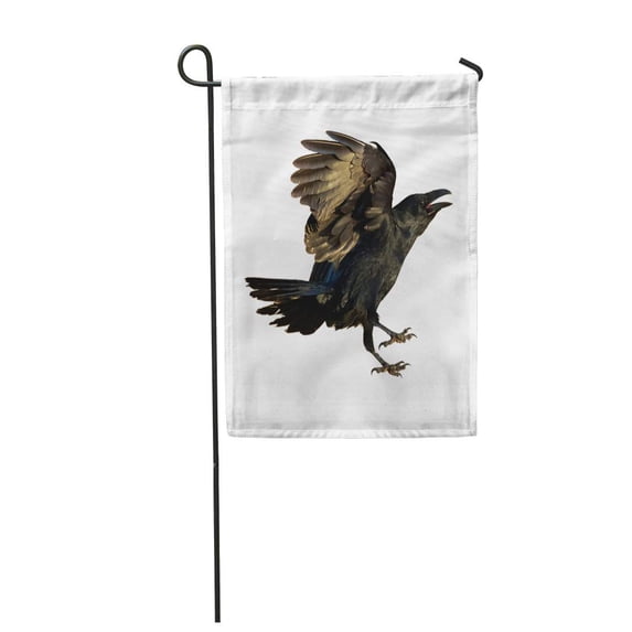 KDAGR Evil Birds Common Raven Corvus Corax White Halloween Air Angry Beak Claw Garden Flag Decorative Flag House Banner 28x40 inch