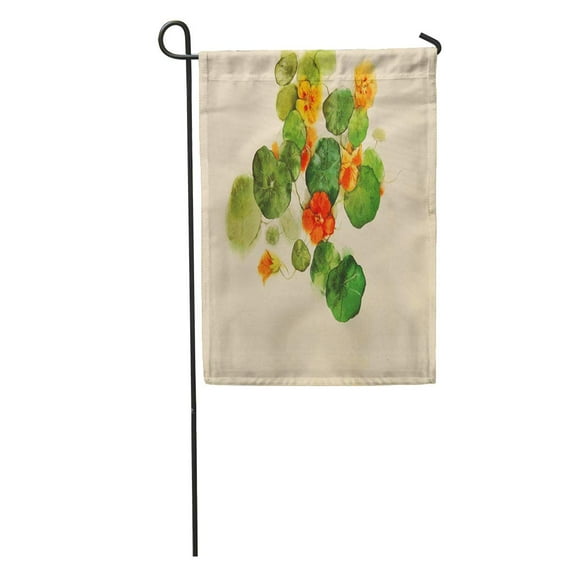 KDAGR Flower Nasturtium Watercolor Artist Tanya Kazantseva Belarus Minsk Creation Date Garden Flag Decorative Flag House Banner 12x18 inch