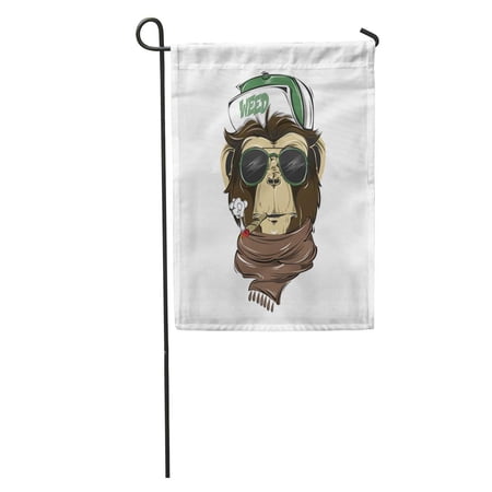KDAGR Graphic Hipster Monkey Modern Street Attributes Head for Face Garden Flag Decorative Flag House Banner 12x18 inch