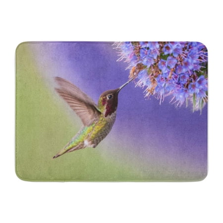 KDAGR Green Bird Anna Hummingbird in Flight Purple Flower Humming Doormat Floor Rug Bath Mat 23.6x15.7 inch