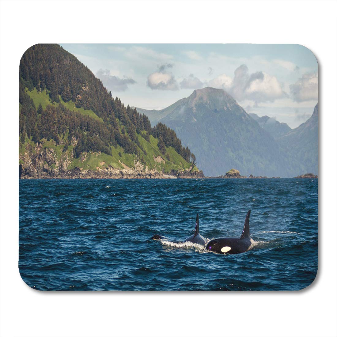 KDAGR Homer Majestic Orca Whales in The Gulf of Alaska Mousepad Mouse Pad Mouse Mat 9x10 inch - image 1 of 1