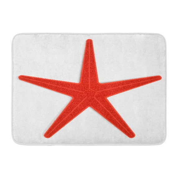 KDAGR Orange Coral Red Starfish Fish Star Aquarium Aquatic Doormat Floor Rug Bath Mat 23.6x15.7 inch
