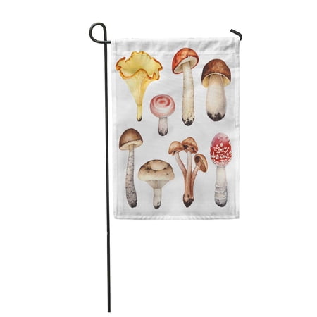 KDAGR Orange Food Watercolor of Mushrooms Forest Autumn Porcini Agaric Wild Garden Flag Decorative Flag House Banner 12x18 inch