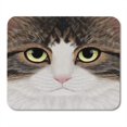 thumbnail image 1 of KDAGR Portrait of The Face Brindle Tabby Cat by Steven Mousepad Mouse Pad Mouse Mat 9x10 inch, 1 of 1