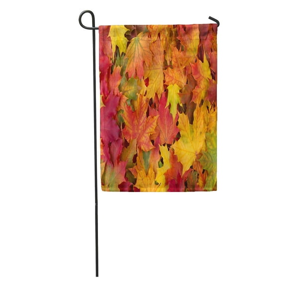 KDAGR Red Leaf Fall Leaves Brown Autumn Maple September Pattern Tree Garden Flag Decorative Flag House Banner 28x40 inch