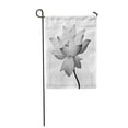 thumbnail image 1 of KDAGR Serene Lotus Flower White Zen Beautiful Garden Flag Decorative Flag House Banner 28x40 inch, 1 of 1